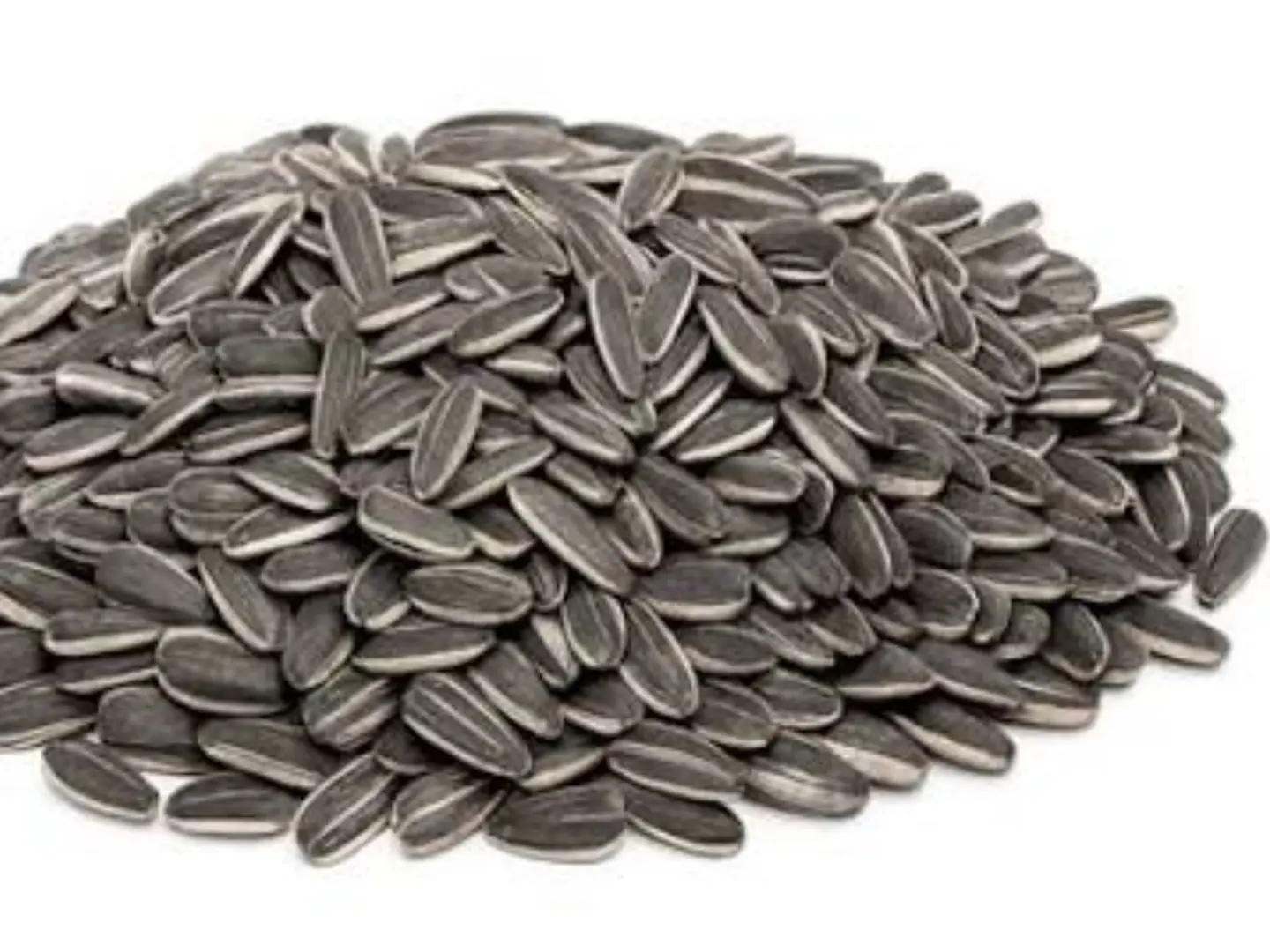 حب دوار الشمس