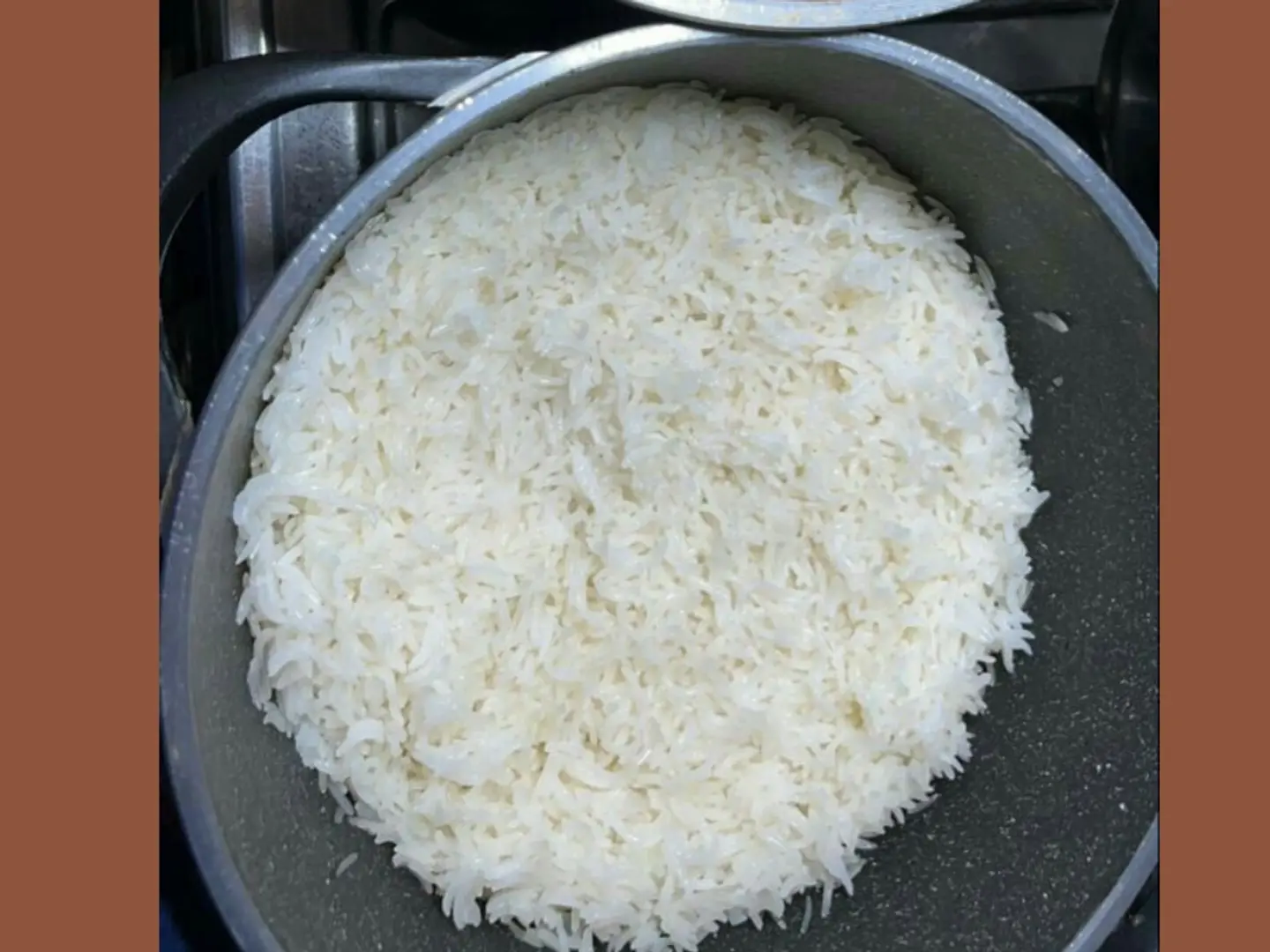 رز بشاور ابيض