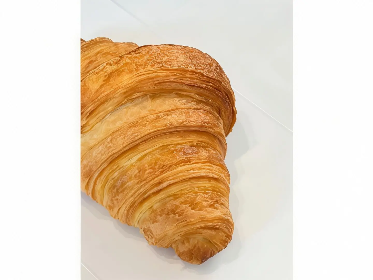 Plain Croissant