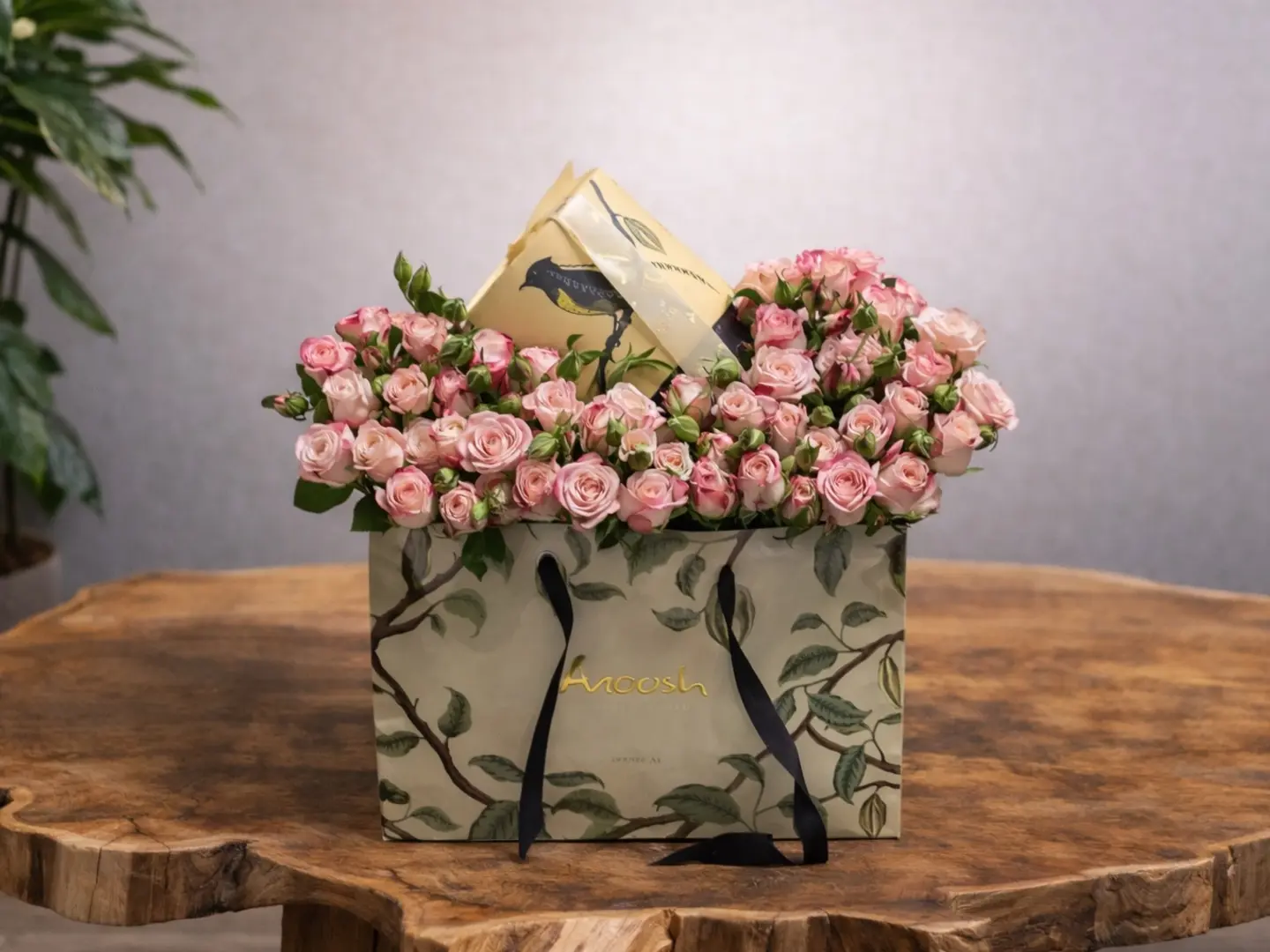 تنسيق رقيق مع كوكيز انوش