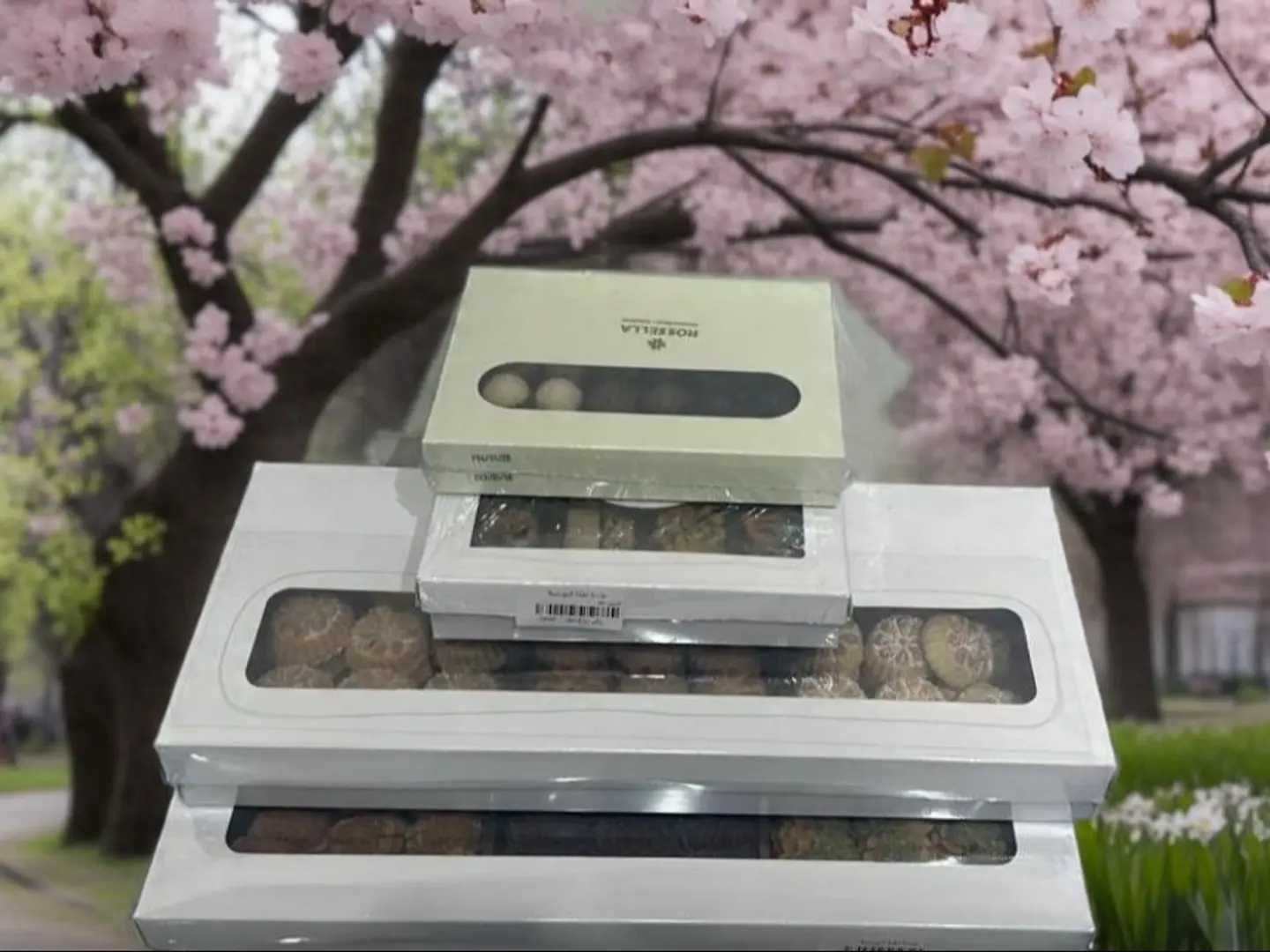 بكج الخريف معمول بيتيفور موالح ترافل