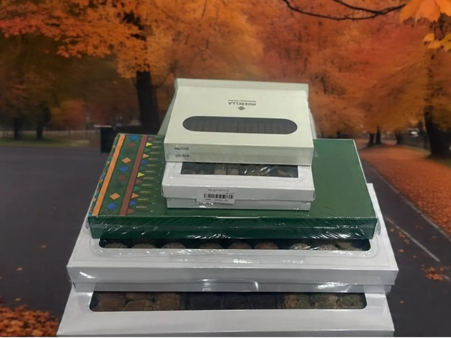 بكج الخريف الفاخر