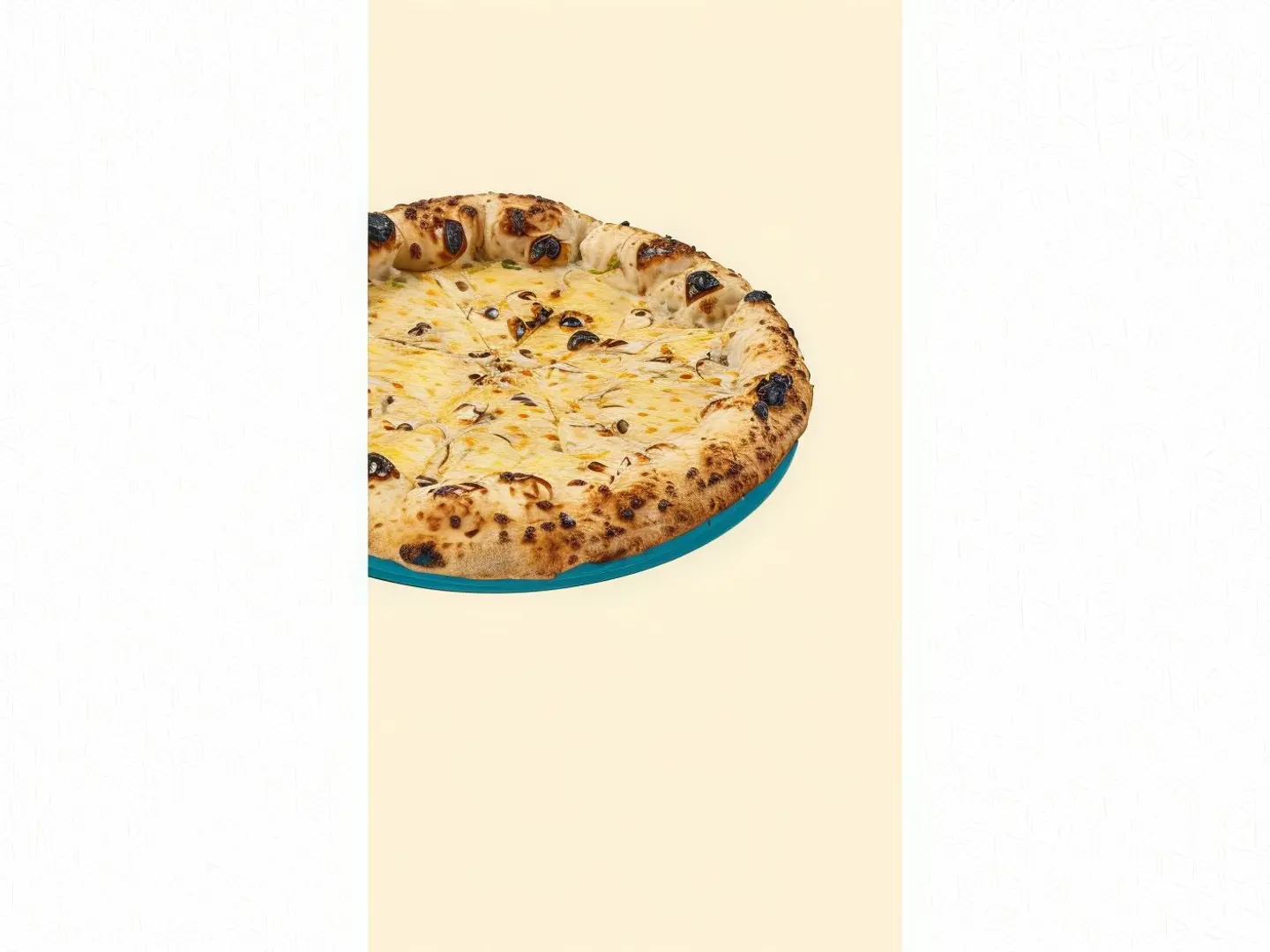 Travel Pizza