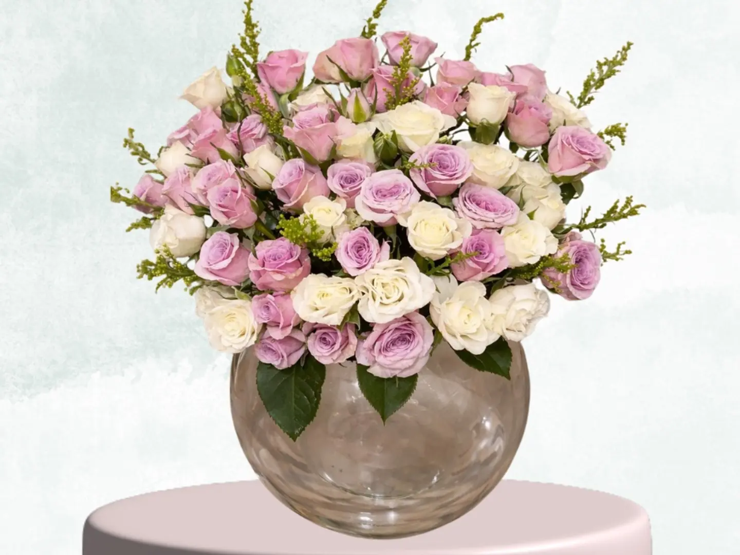 فازة بيبي روز