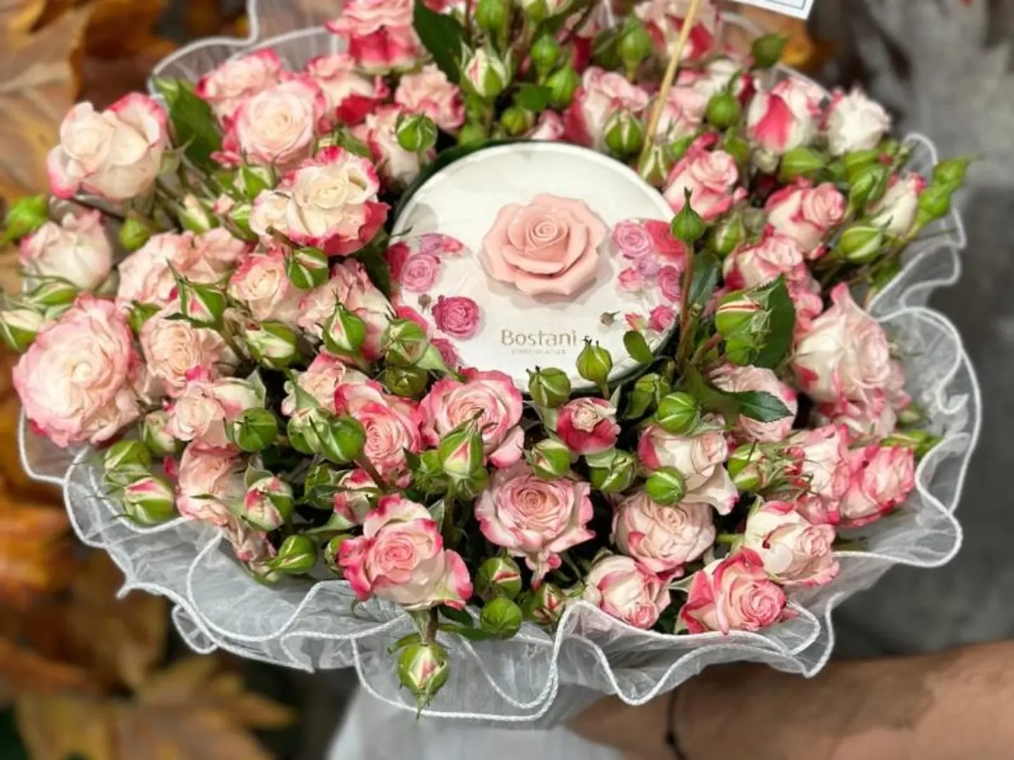 Bustani Rose Sweet With Double Bank Rose