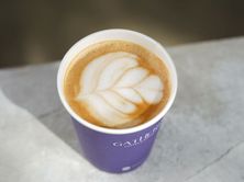 فلات وايت