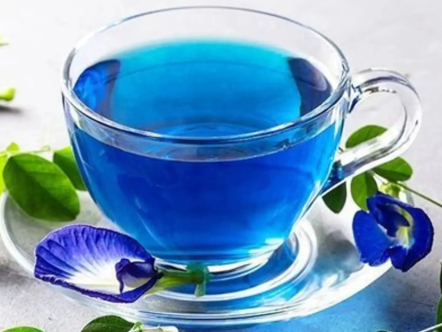 Blue Tea