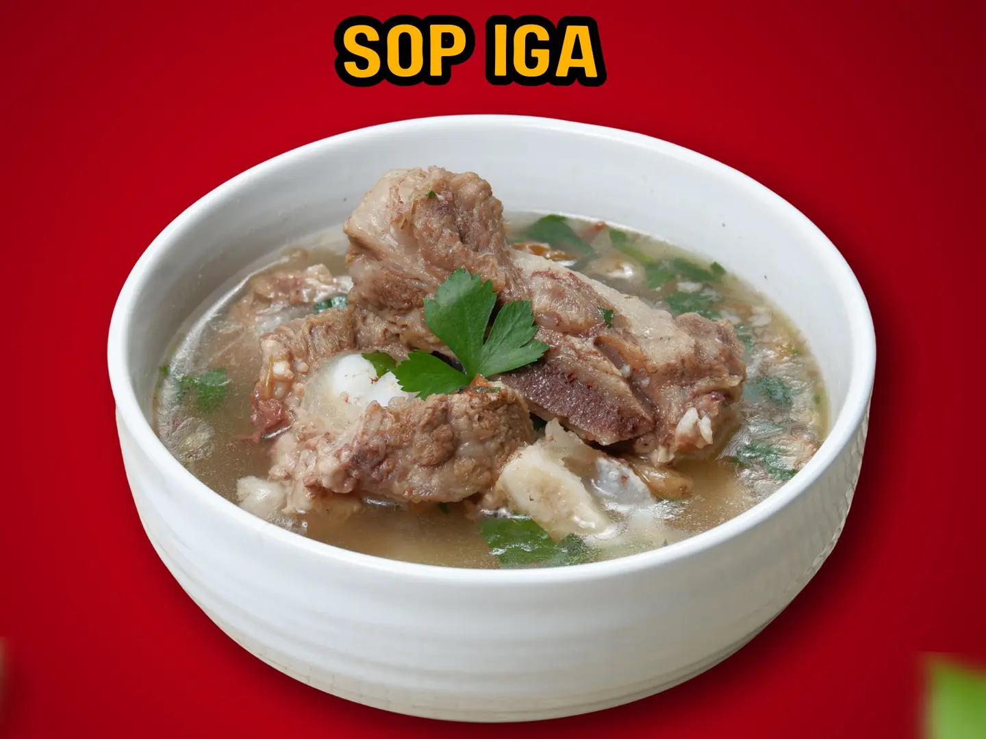 Sup Iga