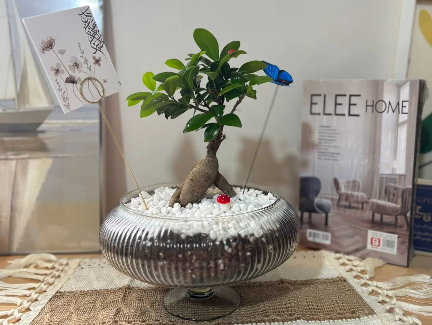 شجرة البونساي