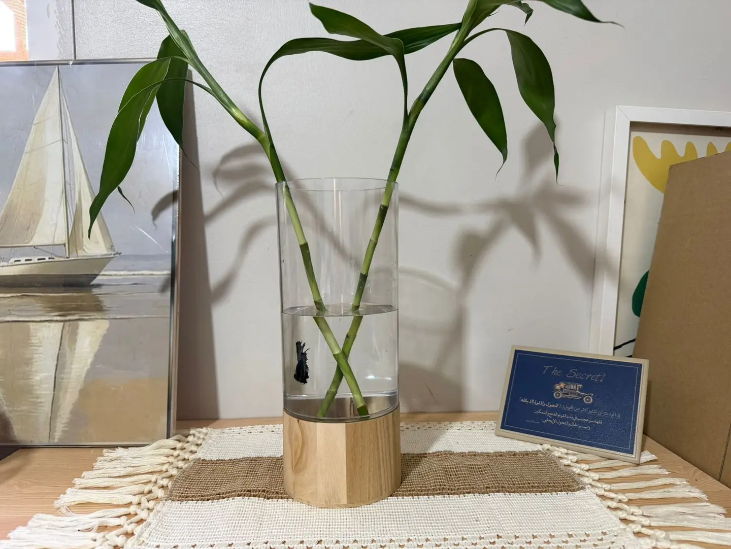 Fighter Fish With Natural Bamboo