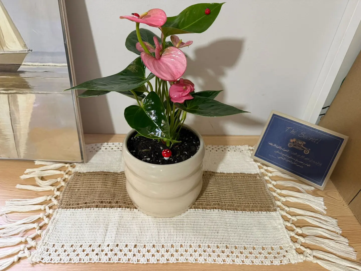 The Gift Of Pink Elegance
