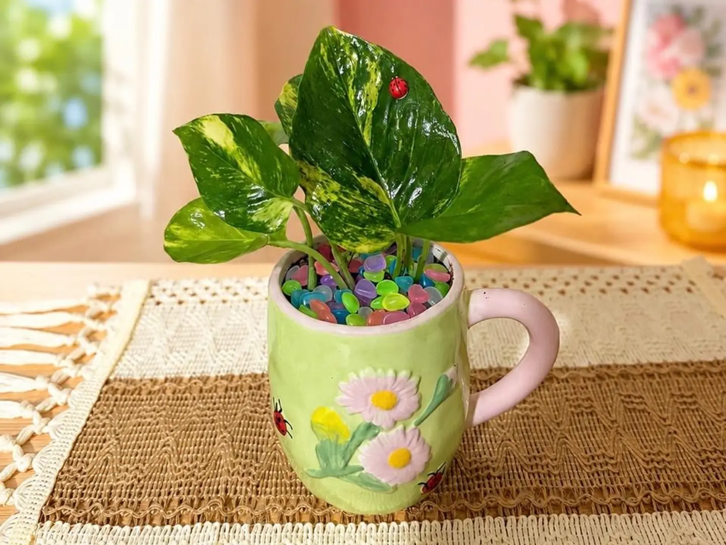 Pottos Plant In A Cup Of Flowers