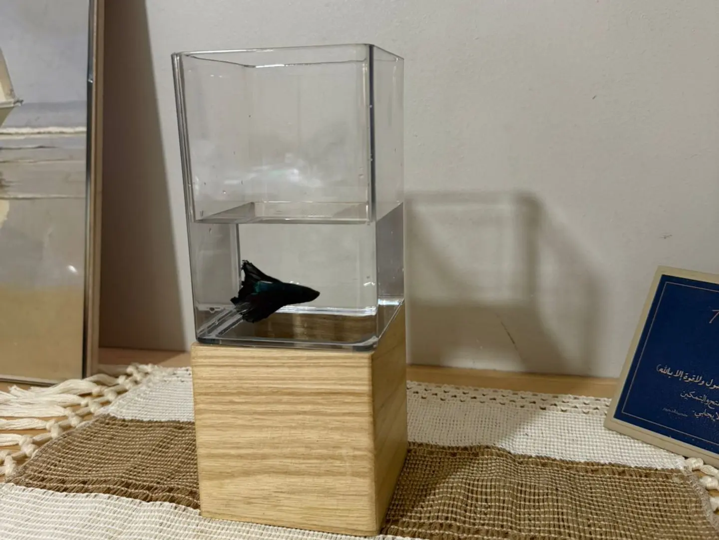 Vase Vitter