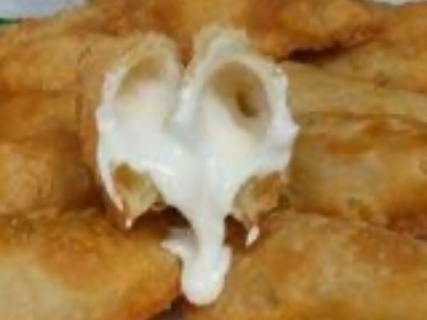 سمبوسة باف جبن - وسط