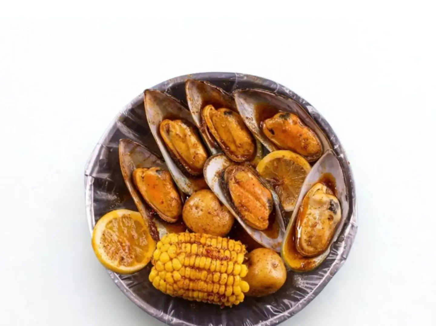 سطل محار