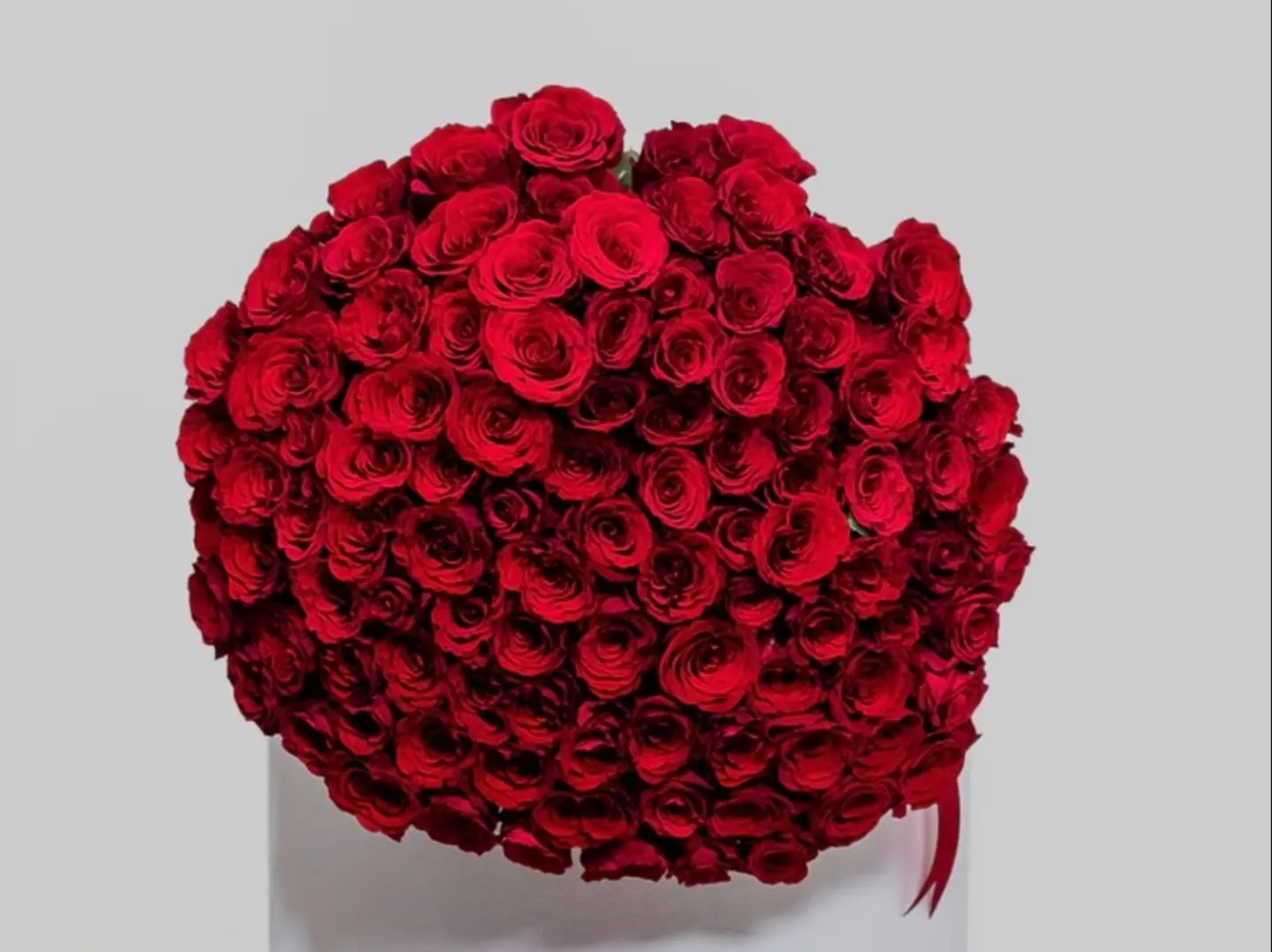 100 وردة للأبد