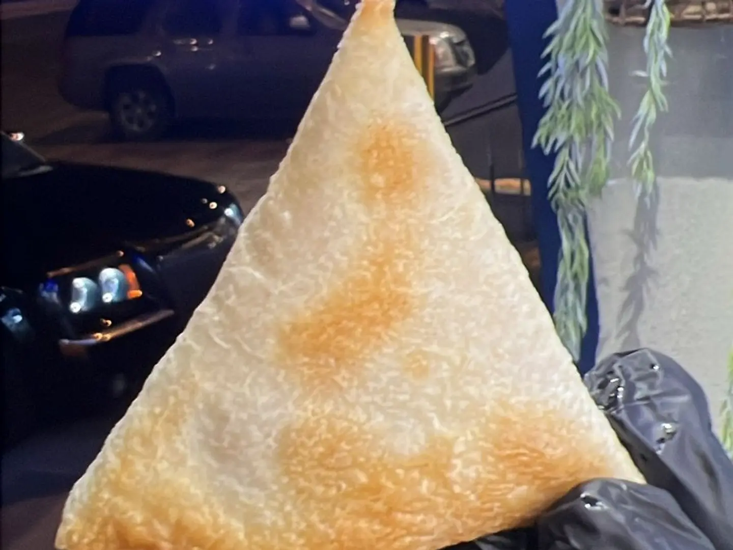 سمبوسة دجاج