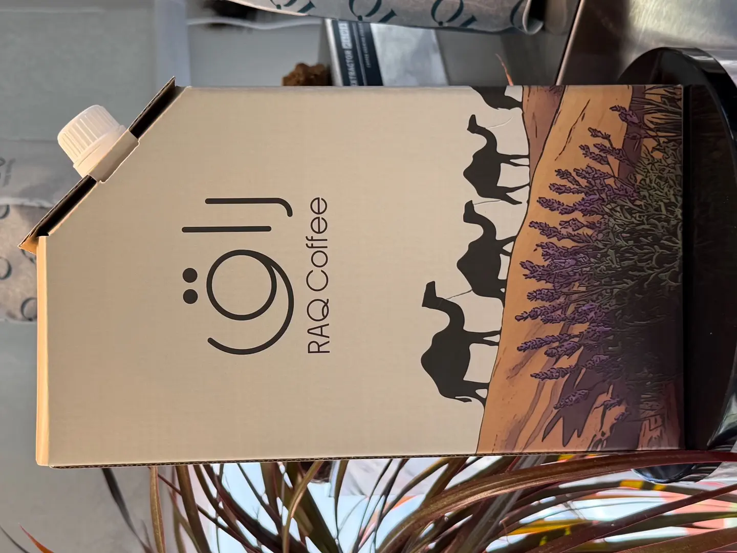 بوكس قهوة (6) اكواب