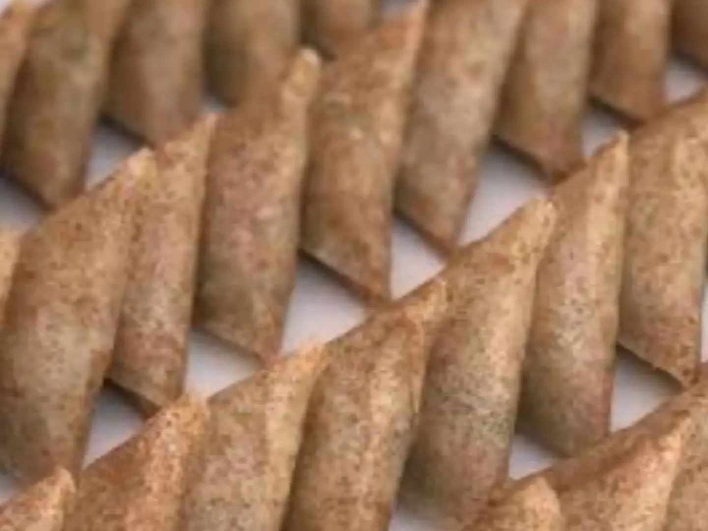 سمبوسة دجاج بر10 حبه