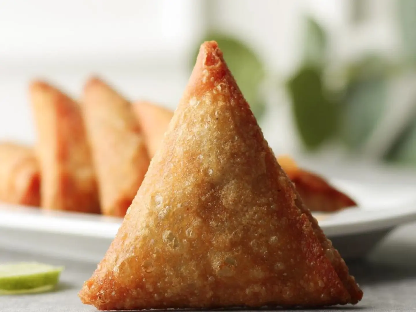 سمبوسة دجاج مقلية عجينة بر 10حبه