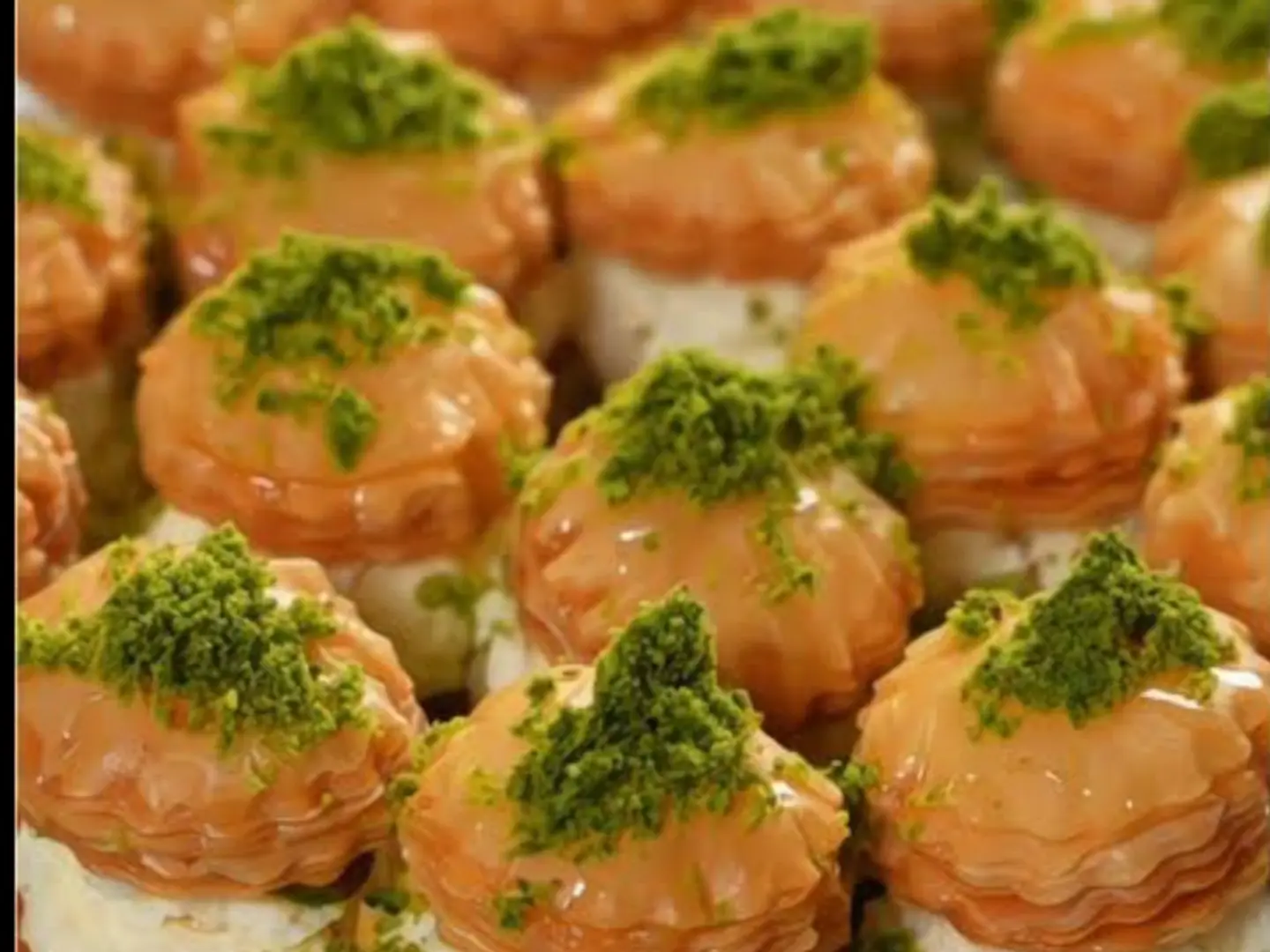 ورد الشام بلقشطة