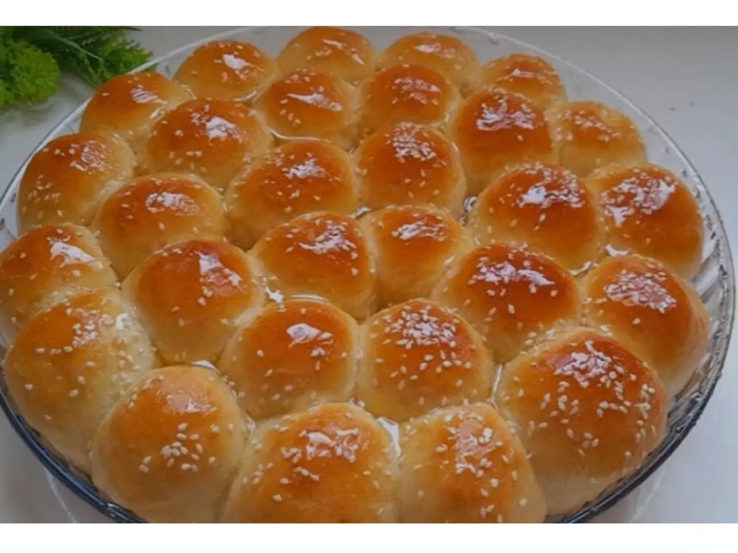 خلية جنان عسل كبير