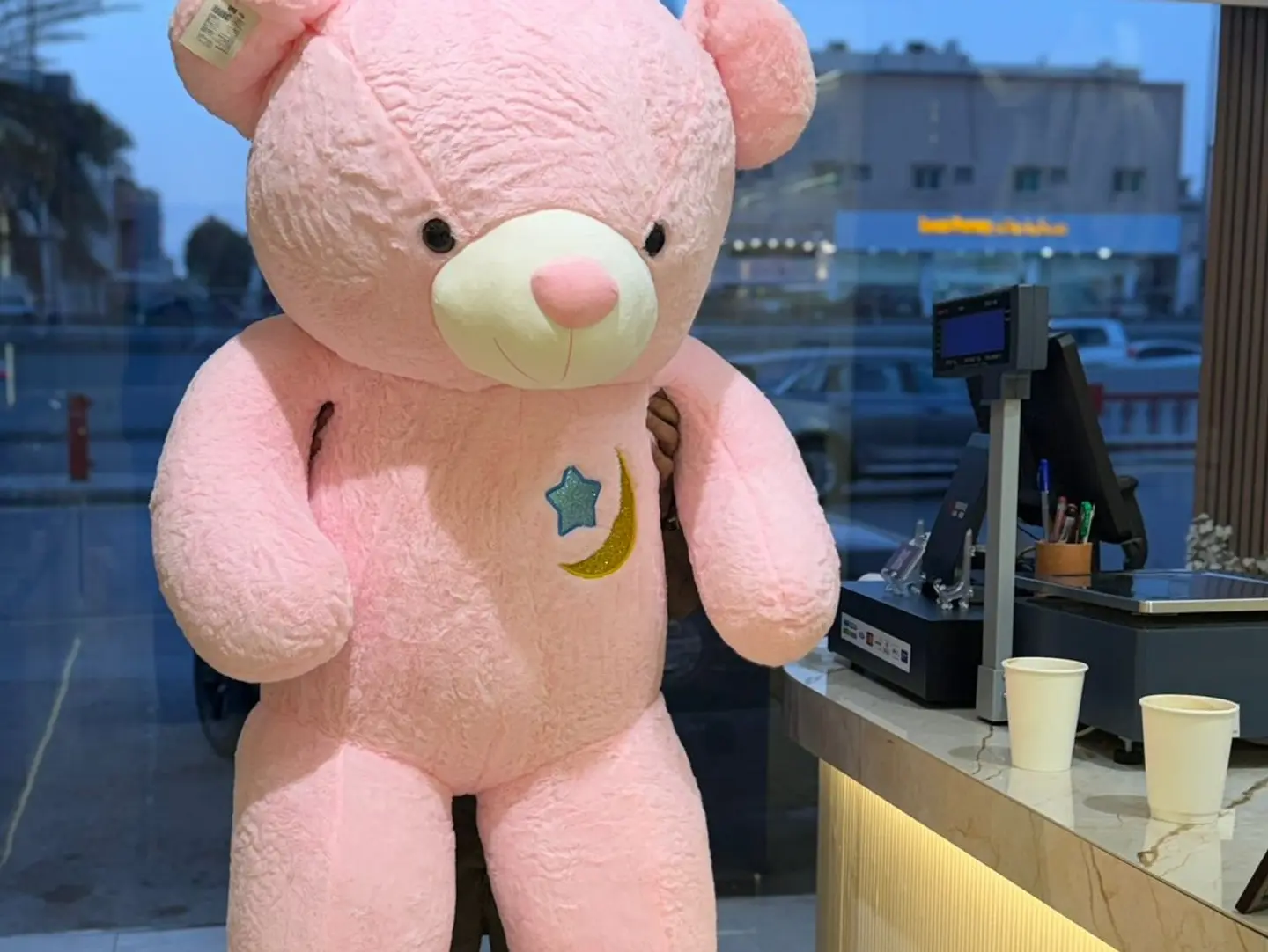 Human Size Teddy Bear