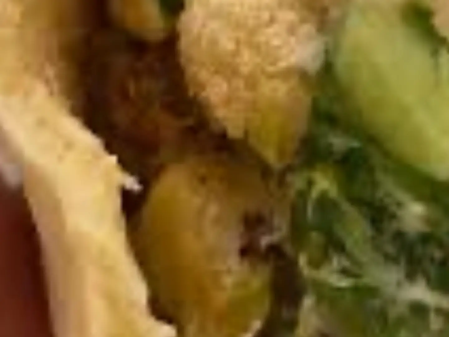 Double Falafel With Eggs