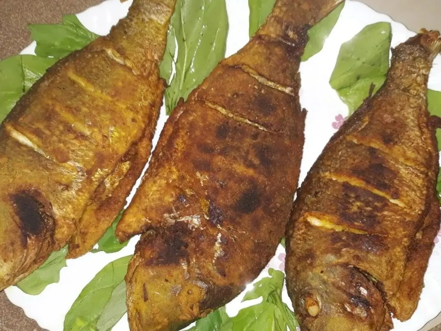 Fish Meal (Shairy)