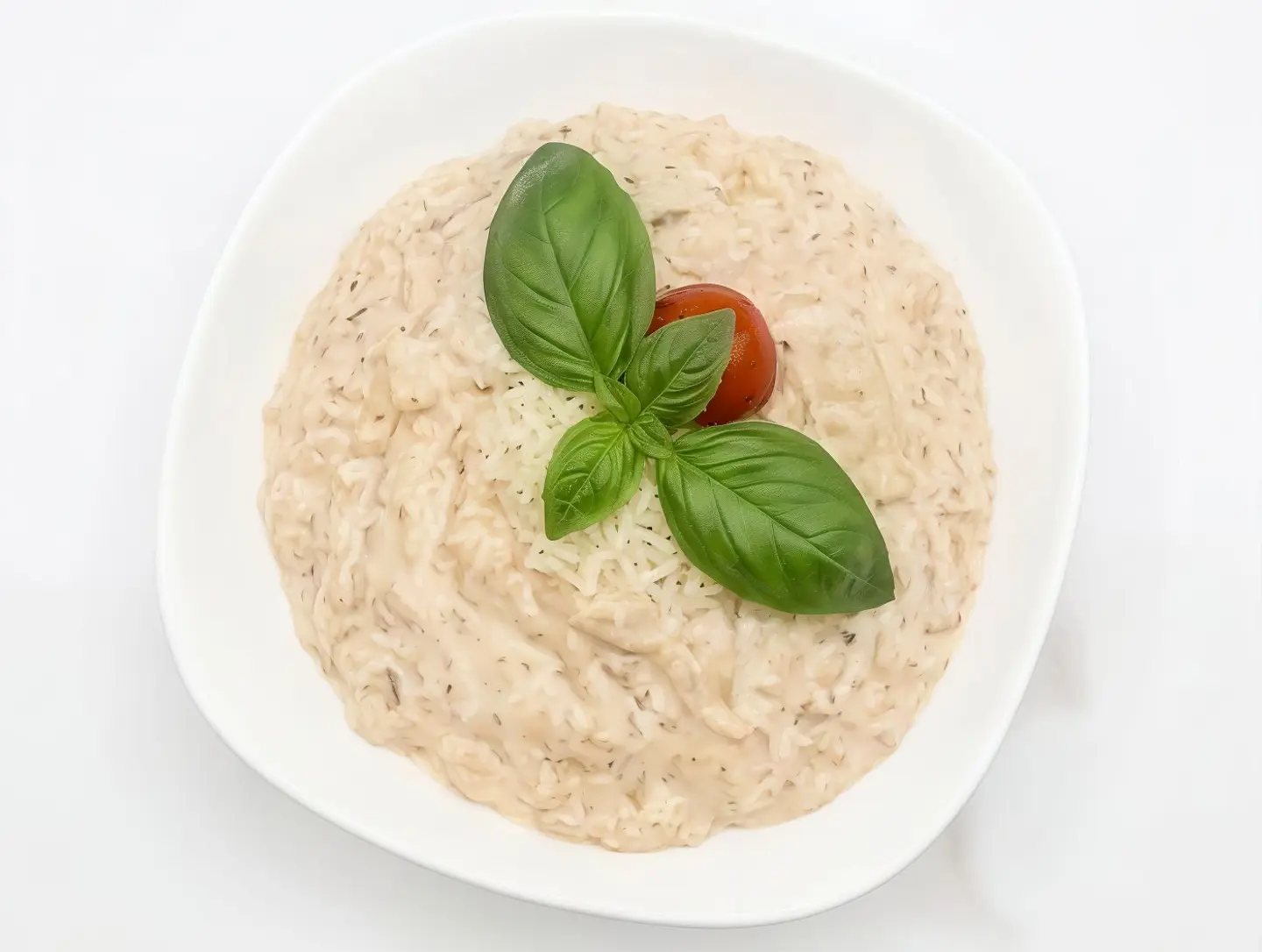 Rosetto Alfredo
