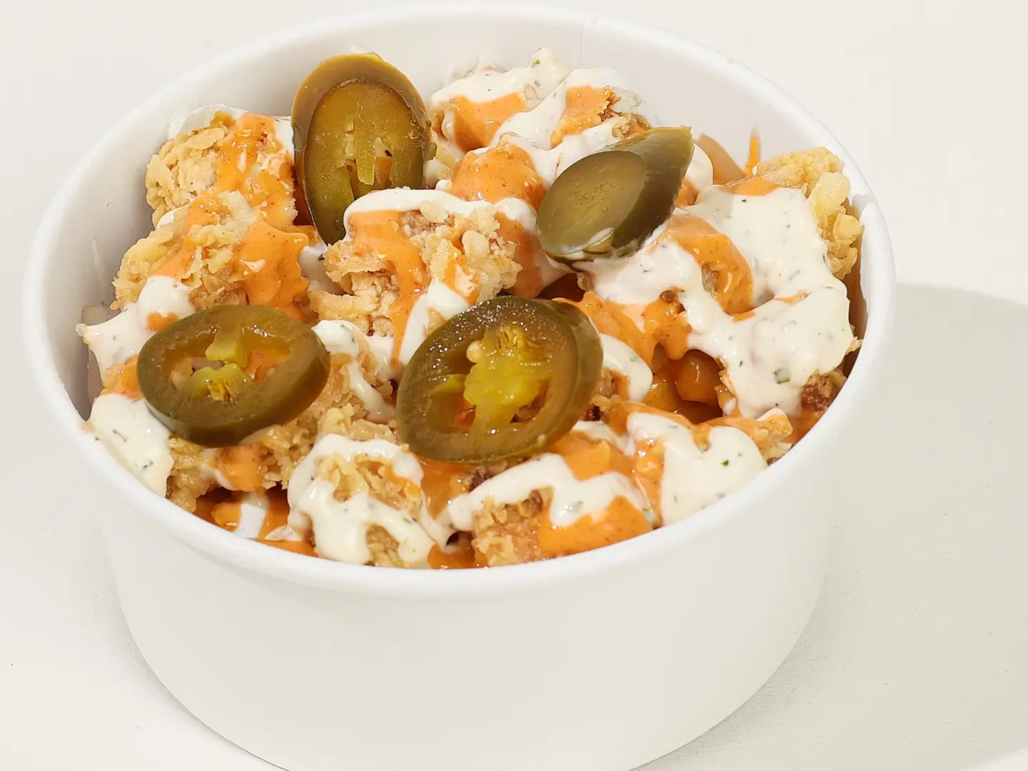 Chicko Special Fries