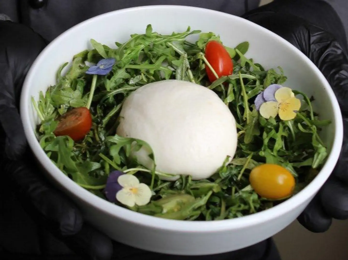 Rucola With Burrata Cheese
