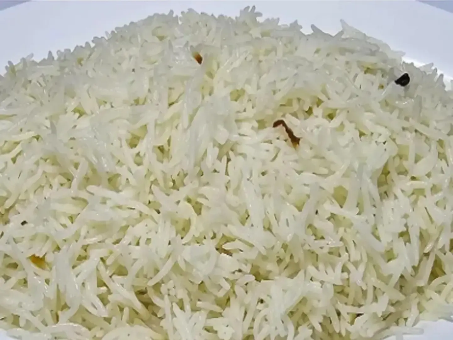 رز شعبي ساده