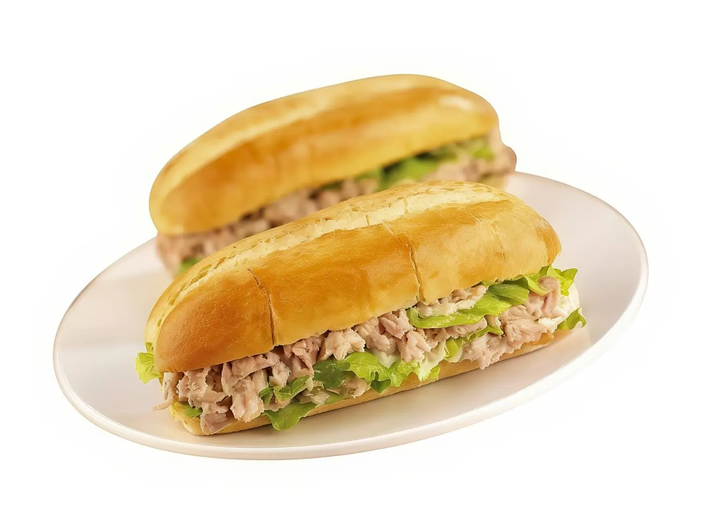 Plain Tuna Sandwich