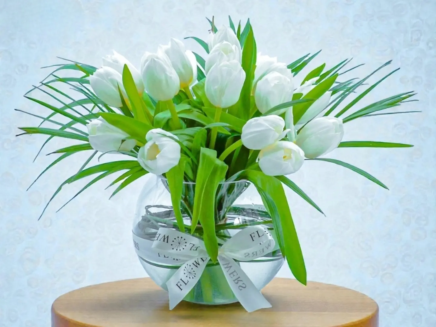 22 فازة وايت توليب