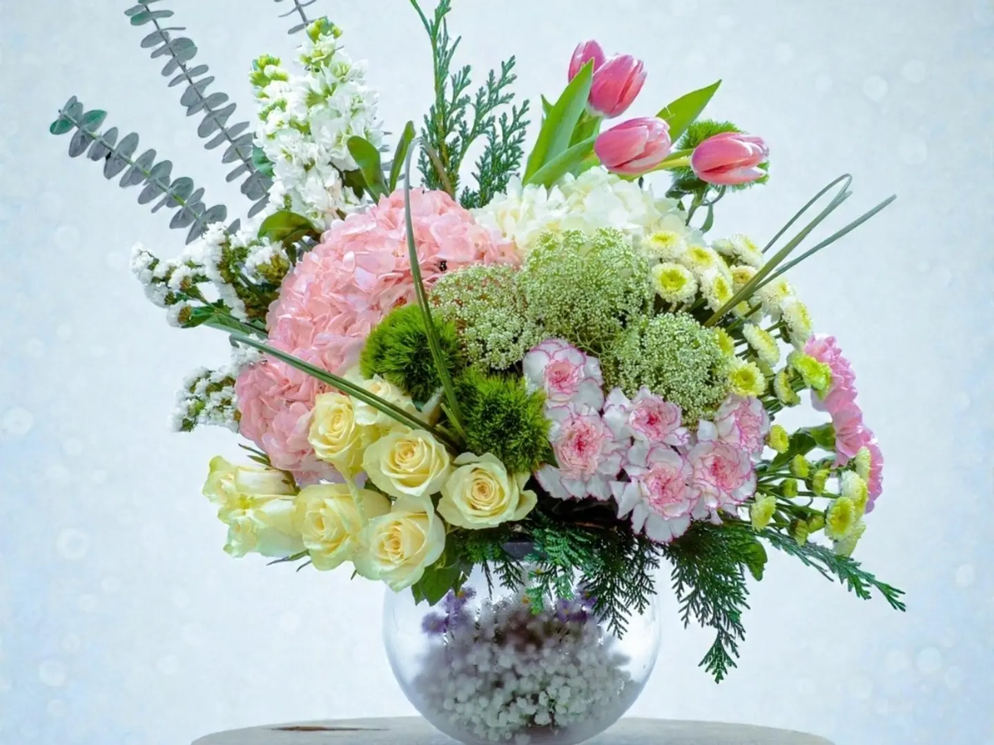 33 فازة هايدرا