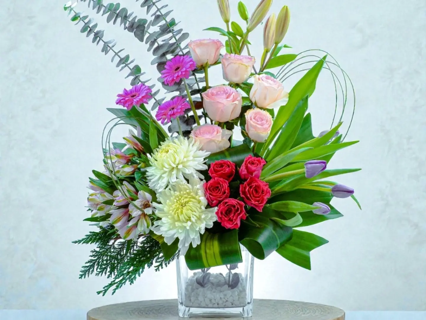 42 فازة فيستا