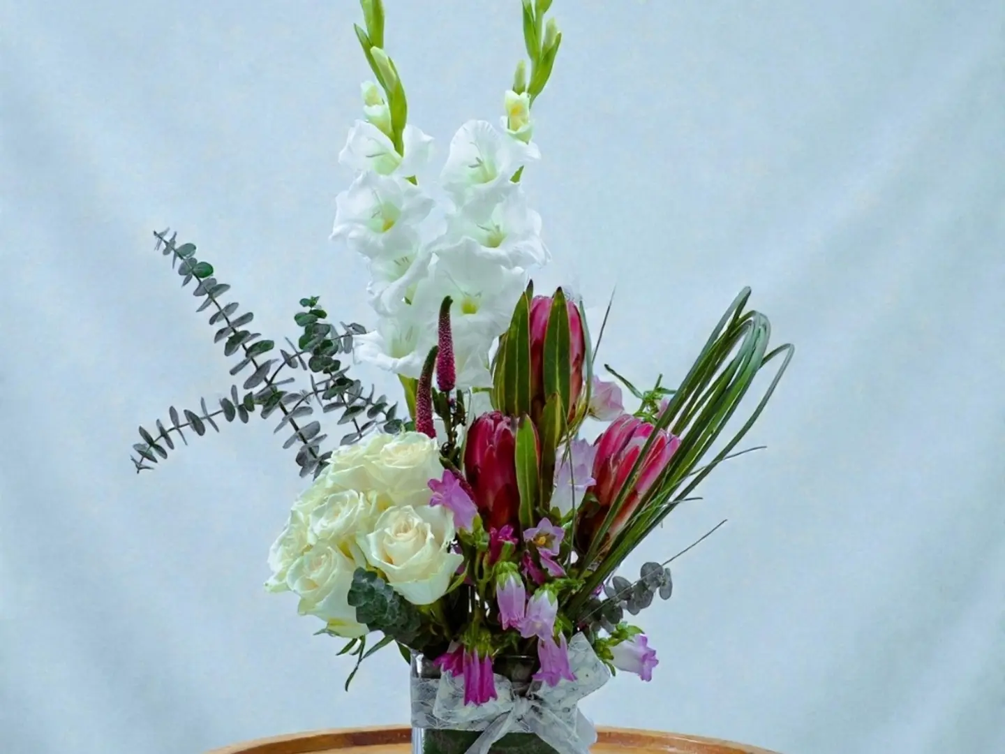 43 فازة بروتيا