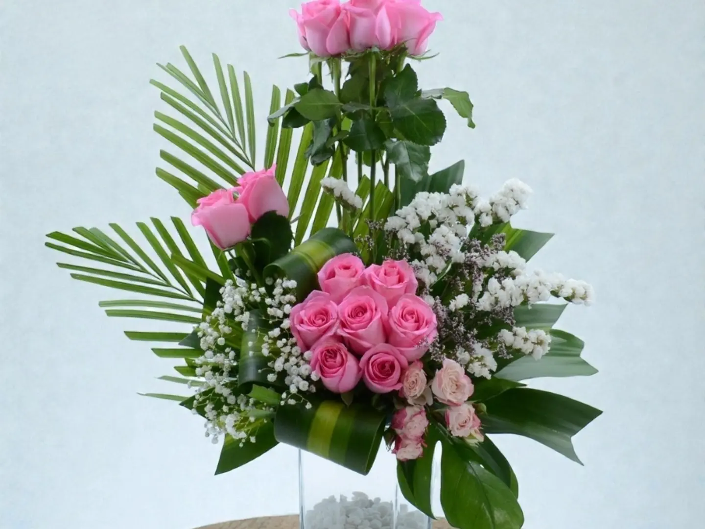 38 فازة تروبيكال