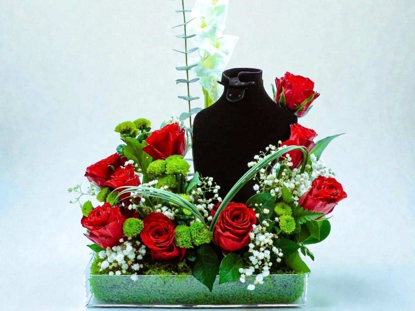 48 حامل شبكة كوين