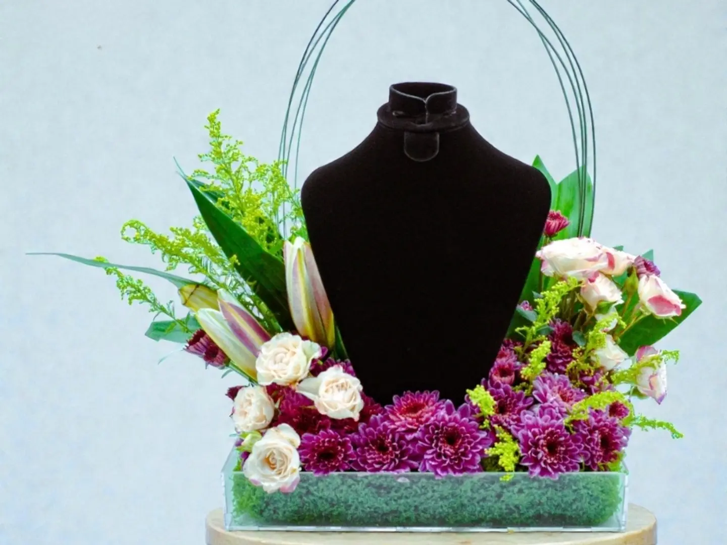 47 حامل شبكة كراون