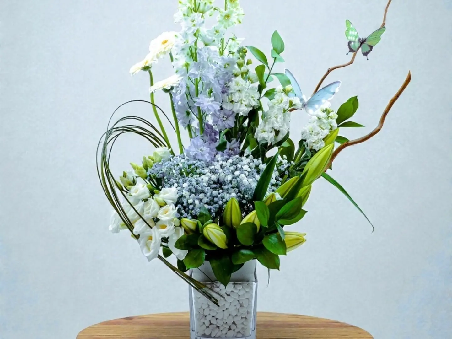 62 فازة ميست