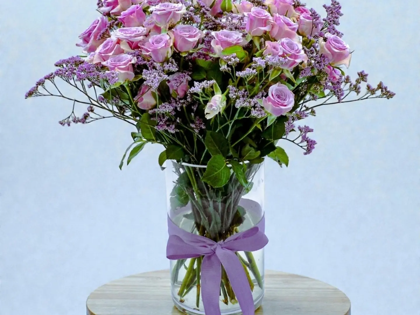 66 فازة دريم