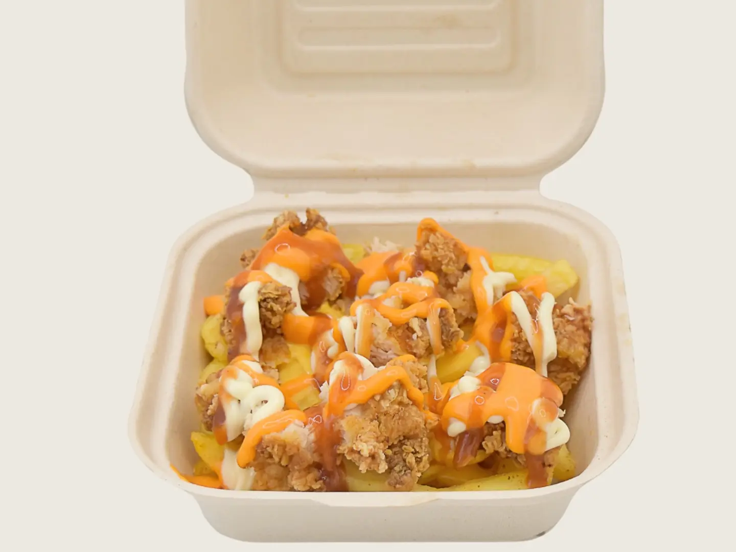 سبيشال تشيكن فرايز