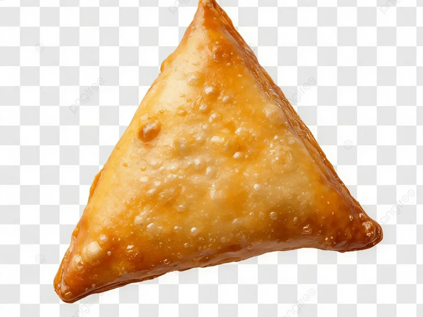 Chicken Tikka Samosa