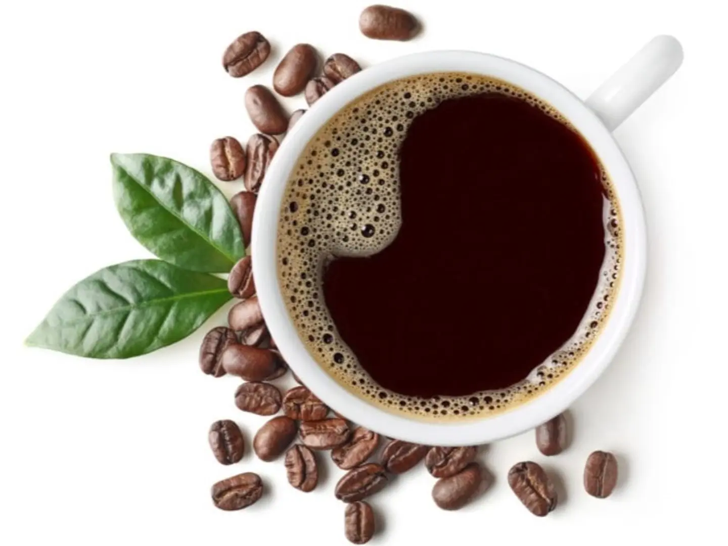 V60 Hot