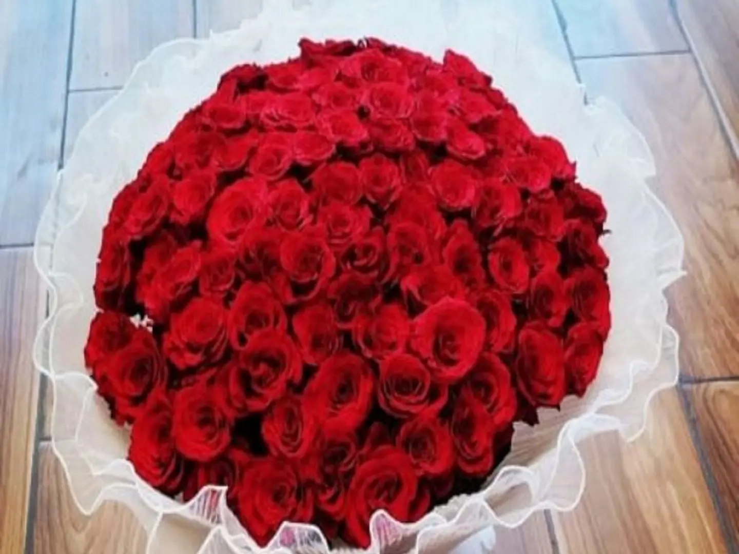 Elegance Bouquet 50 Red Roses White Fabric Wrap