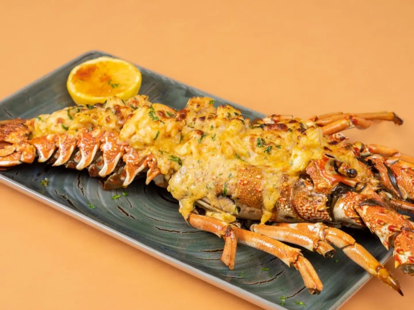 لابستر ترمدور