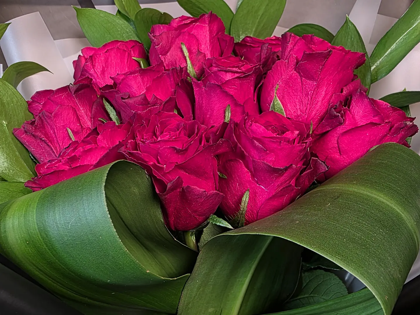 باقة الجمال