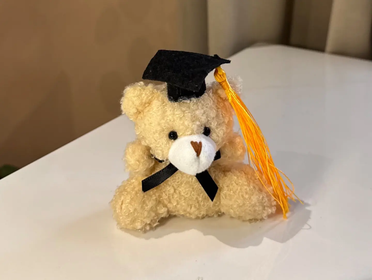Graduation Teddy Bear